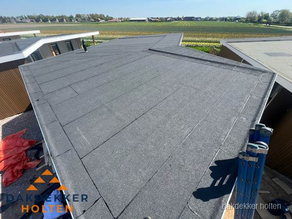 Nieuw bitumen plat dak met uitzicht over landschap in Holten