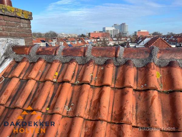 Pannendak met nokvorst en schoorsteen, dakrenovatie in Holten