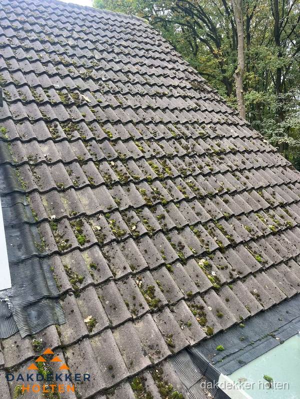 Verweerd pannendak met mosgroei dat renovatie nodig heeft in Holten