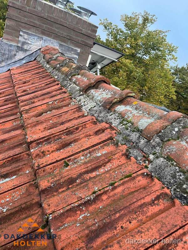 Verweerd hellend dak met mosgroei op nokvorst in Holten